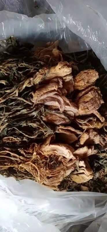 昭平县菜头干 大头菜