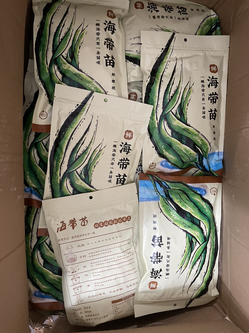 海带嫩苗鲜海带  海带苗，鲜嫩新鲜海白菜火锅食材即食裙带菜