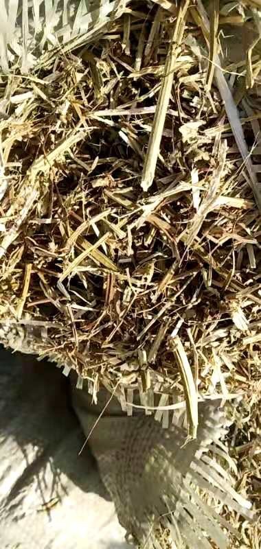 正阳县花生秧牛羊草，黄白带绿，无土，无膜，无霉变，好货不多了！