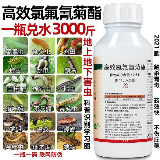 新郑市批发高效氯氟氰菊酯功夫农药蚜虫青虫红蜘蛛地上害虫地下害虫