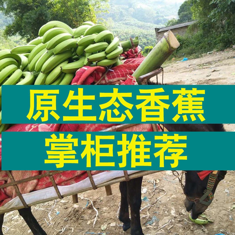 云南香蕉整箱当季水果新鲜包邮批发10斤/6斤自然熟大香蕉