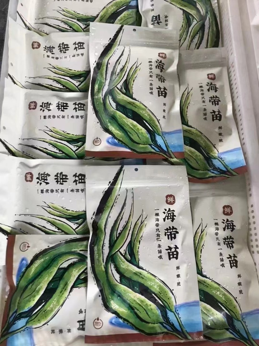 海带嫩苗鲜海带  海带苗，鲜嫩新鲜海白菜火锅食材即食裙带菜