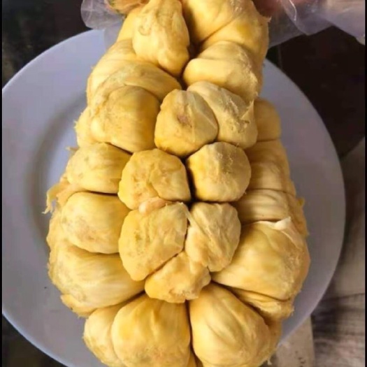 邯郸尖蜜拉  榴莲蜜，果型大小均匀，有需要的抓紧时间联系我