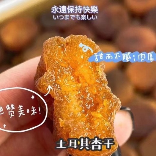 上海 土耳其杏脯 人工挑选 规格齐全