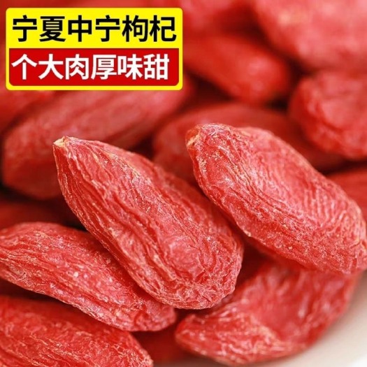 中宁县红枸杞 宁夏枸杞