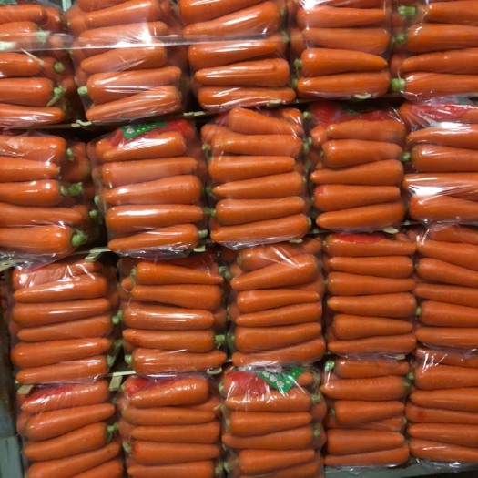 平度市三红胡萝卜  精品胡萝卜
