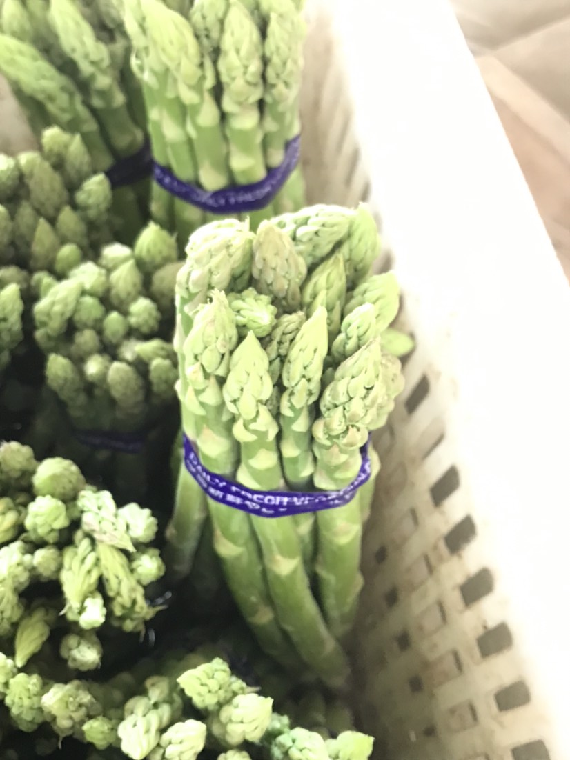绿芦笋  基地种植，夏笋货源充足，保证质量，保证新鲜，交通便利。