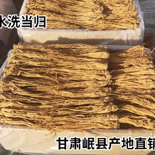 岷县岷当归  【产地直供】水洗黄当归产地直供，产地专业加工，量大从优