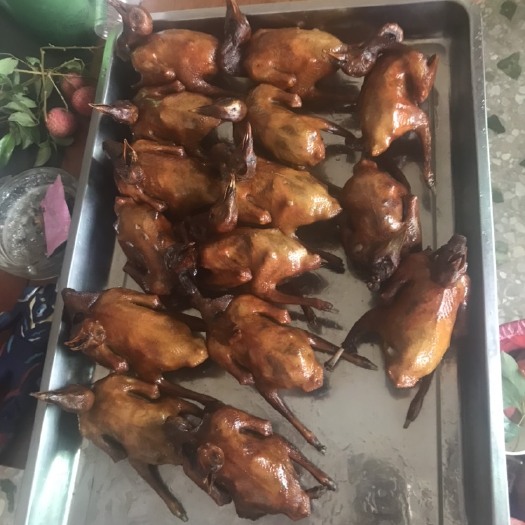 紫金县 卤鸽