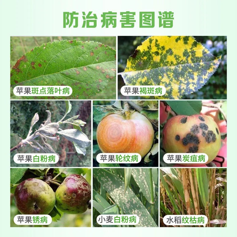 嘉绿元43%10克每袋戊唑醇农药杀菌剂