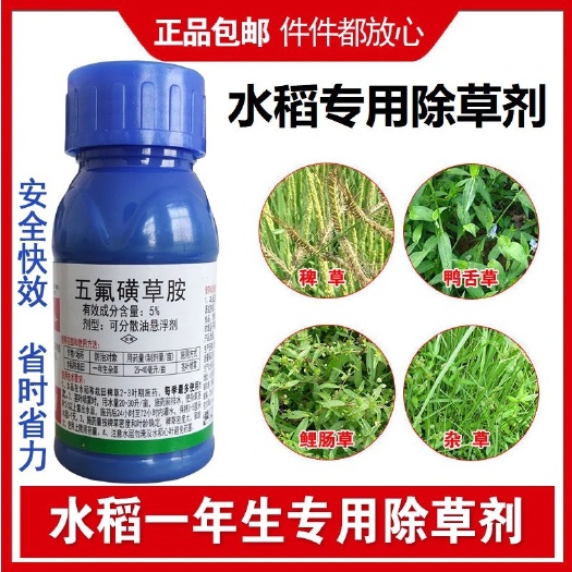 寿光市水稻专用除草剂五氟磺草胺水稻直播田稗草阔叶杂草除草剂农药