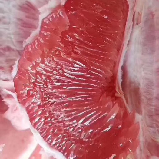 梅州蜜柚  梅州红心柚