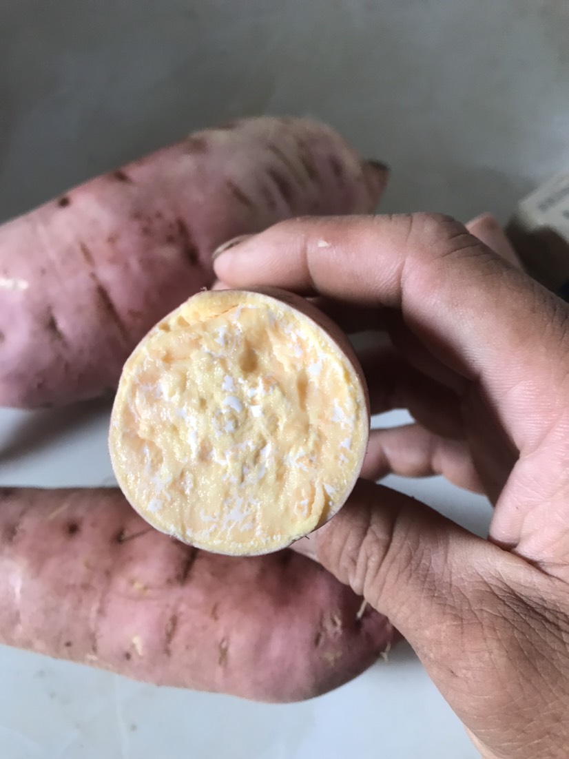 龙薯  新鲜龙九红薯。