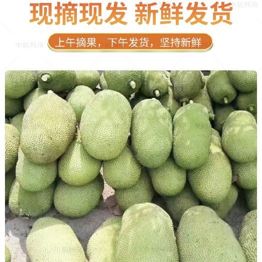 万宁市海南菠萝蜜黄肉干包波罗密热带水果批发零售支持一件代发