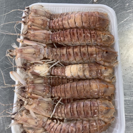 北海 皮皮虾，虾姑，虾爬子