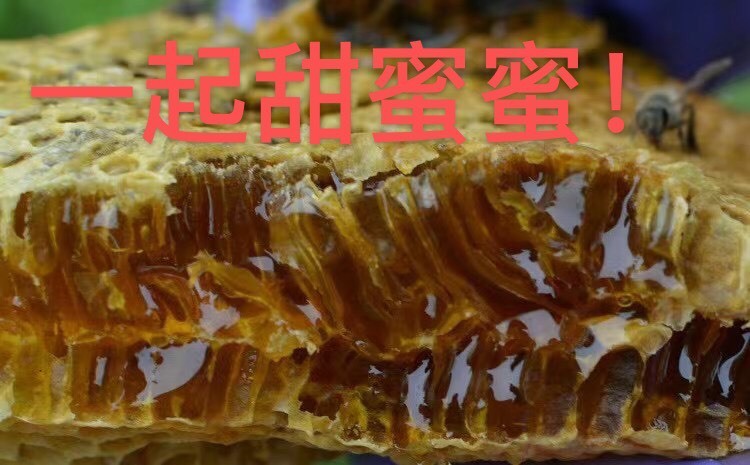 顺昌县蜂蜜！大山的馈赠！蜂巢蜜！你爱我，我爱你一起甜蜜蜜！