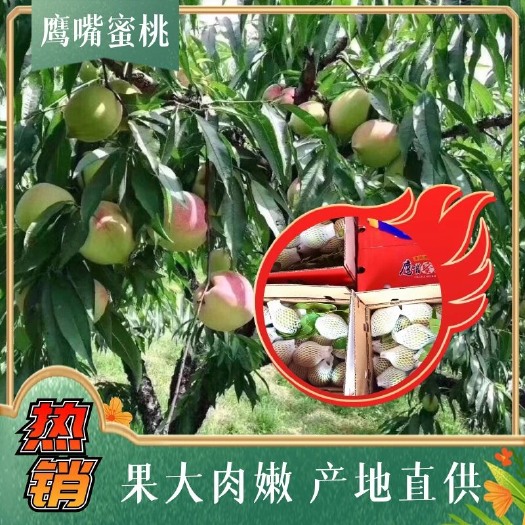 寻乌县鹰嘴蜜桃长相像鹰嘴，其个大汁多，果实鲜红饱满，非常的嘎嘣脆