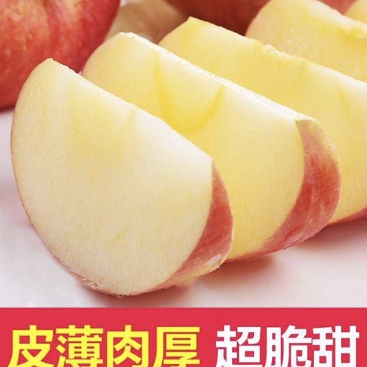 吉县壶口红富士苹果