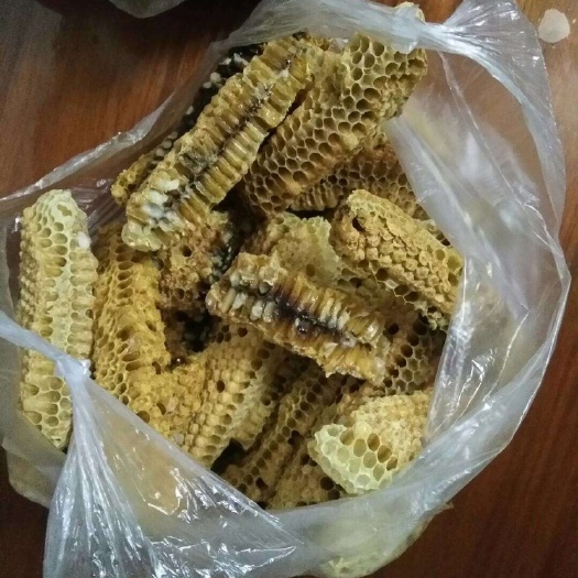 博罗县蜂房  蜂巢