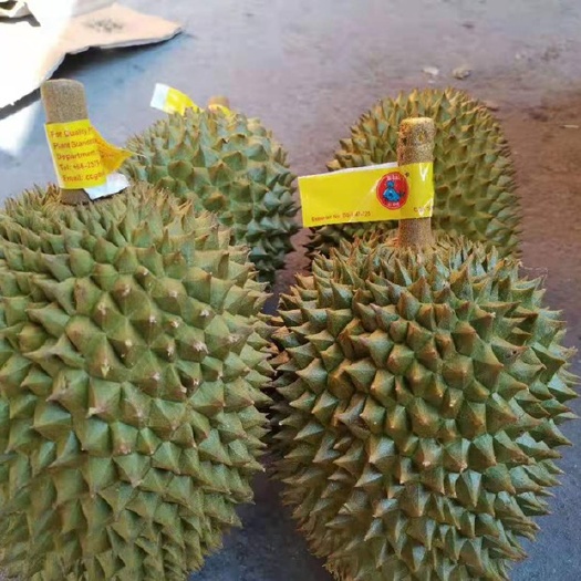 凭祥市 托曼尼榴莲，32斤净重，果型方正，大小均匀，有需要的抓紧联系