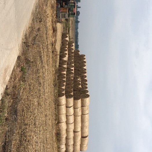 寿县小麦秸秆 干货，自带车，上车价400