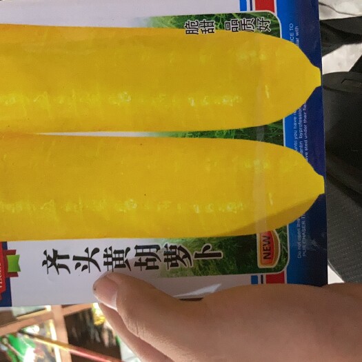 长沙齐头黄胡萝卜种子