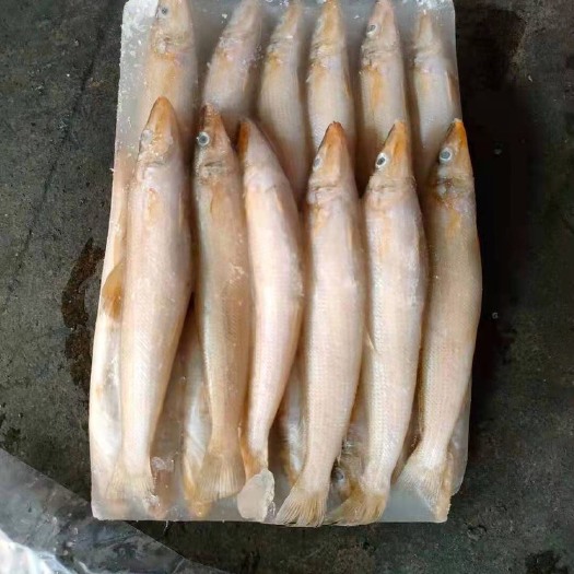 福州沙尖鱼