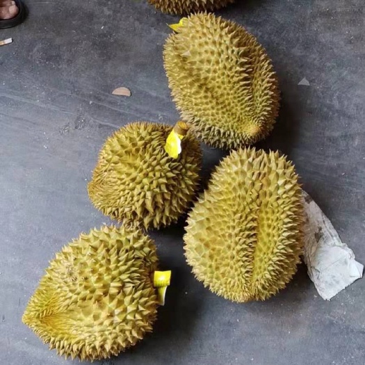 凭祥市泰国金枕榴莲，34斤净重，果型方正，货好，有需要的抓紧联系我