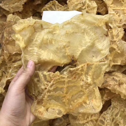 青岛花胶  鱼胶