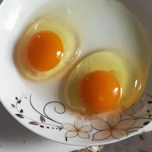 霍邱县产地直销双色罗曼、大午39-41斤土鸡蛋色泽鲜艳、口感