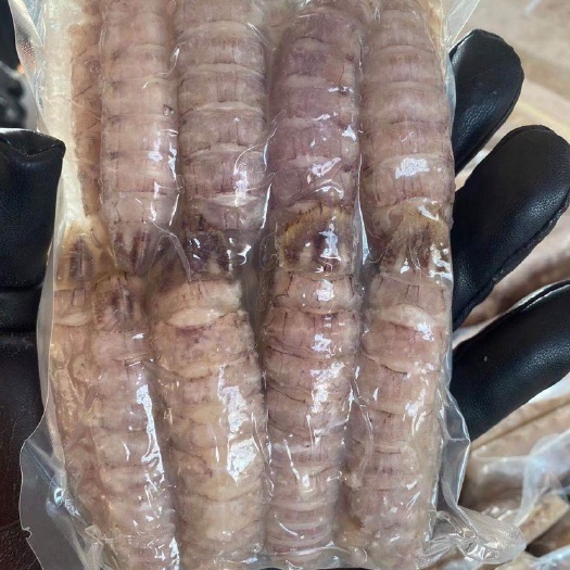 乳山市 小活虾皮皮虾肉