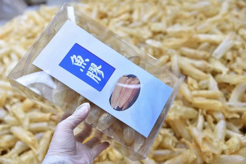 【黄花胶筒】肉质细腻柔软、泡发饱满，黄花胶爆款大量干货批