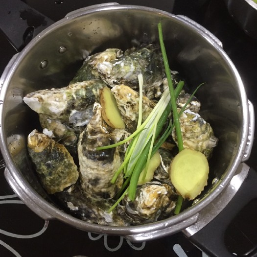 饶平县珍珠蚝  新鲜一口高压锅生蚝牡蛎产地直供自助餐半壳蚝肉保新鲜