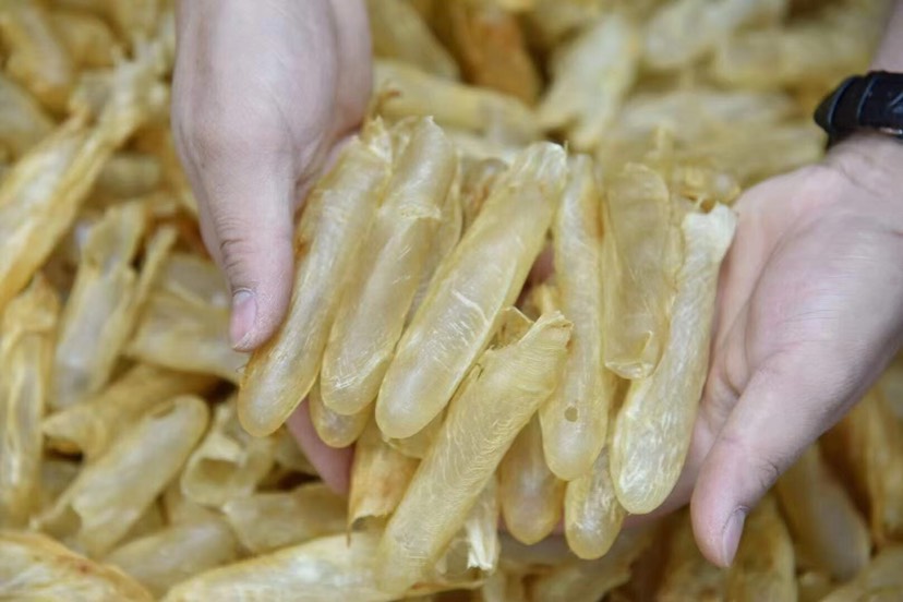 【黄花胶筒】肉质细腻柔软、泡发饱满，黄花胶爆款大量干货批