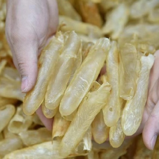 广州【黄花胶筒】肉质细腻柔软、泡发饱满，黄花胶爆款大量干货批