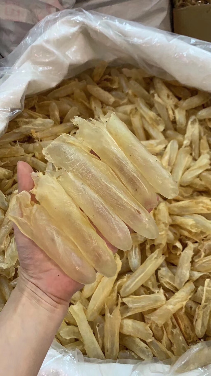 【黄花胶筒】肉质细腻柔软、泡发饱满，黄花胶爆款大量干货批