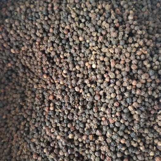 宁明县 5.8黑胡椒