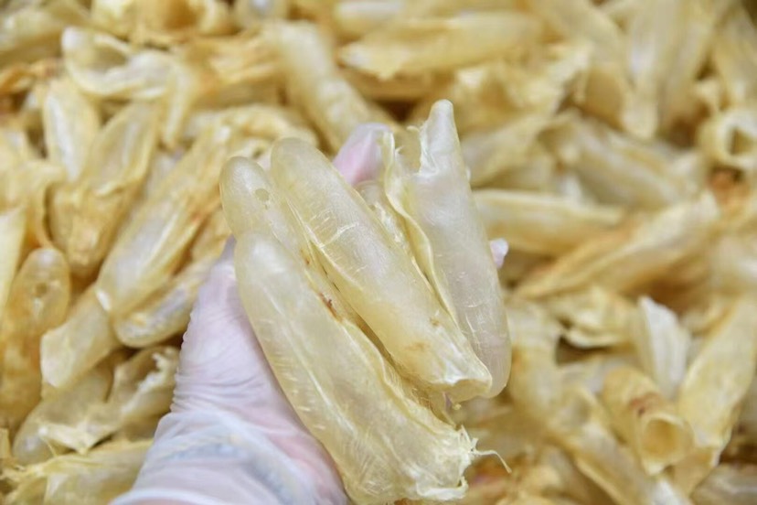 【黄花胶筒】肉质细腻柔软、泡发饱满，黄花胶爆款大量干货批