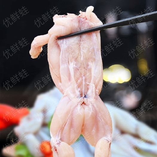 汕头鲜活牛蛙肉冰鲜牛蛙加工速冻牛蛙肉火锅烧烤原料