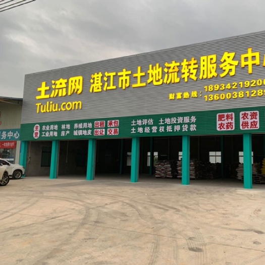 雷州市水田 高标准农田