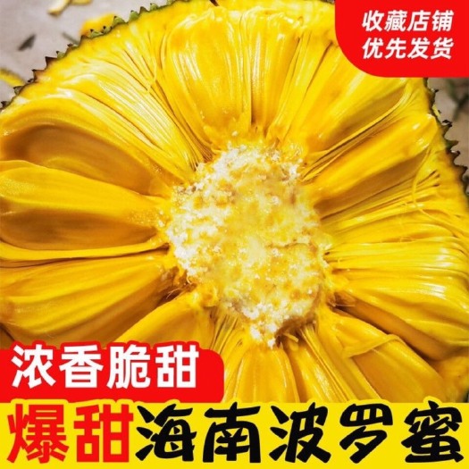 保亭县菠萝蜜 现摘发货海南菠萝。  黄肉干苞当应季新鲜水果一整个
