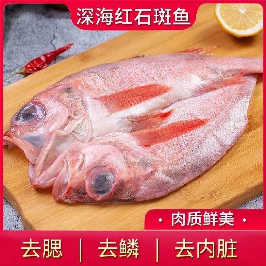 【超大红石斑鱼】新鲜开背调味冷冻深龙胆石斑富贵鱼长寿鱼