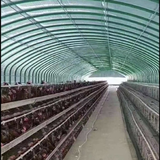 天津我公司专业生产大棚管圆管椭圆管规格齐全配件齐全