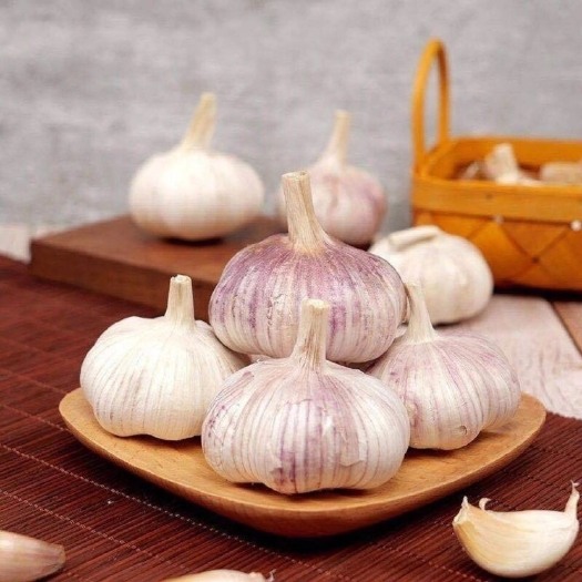 金乡县紫皮蒜  山东金乡大蒜紫皮大蒜