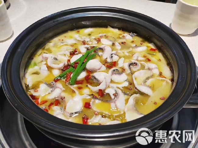 免浆巴沙鱼片免浆黑鱼片无刺水煮鱼肉酸菜鱼乌鳢火锅食材批发