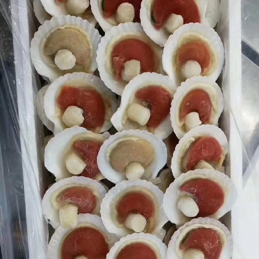 连云港虾夷扇贝夏夷贝半壳扇贝烧烤扇贝原装原汁化冻即用大个扇贝原贝