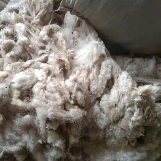 新民市常年供应羊毛粗细都有，油脂的细度20左右，有实力的可以长期