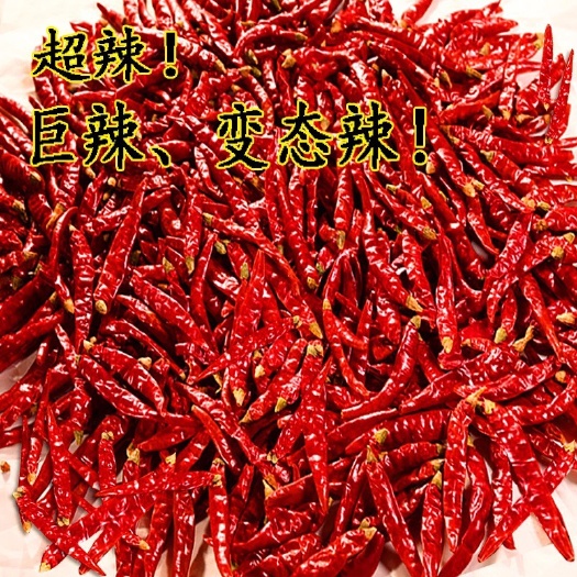 柘城县印度干辣椒  2021印度S17干辣椒，魔鬼辣