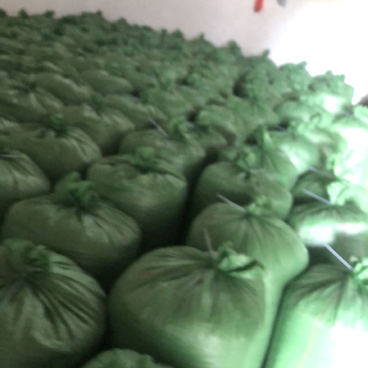 始兴县玉米青贮  大量供应甜玉米秸秆青储