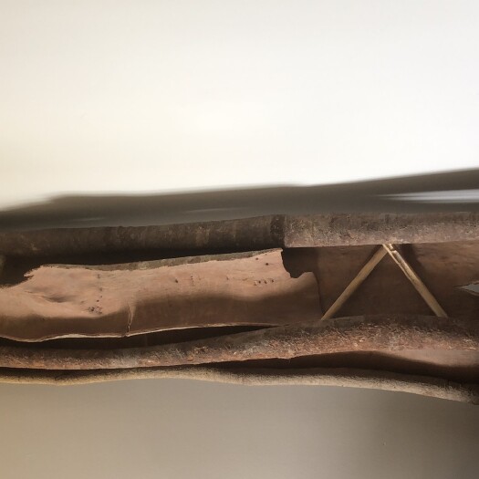 玉林桂皮 